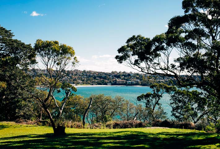 Middle Head surrounded by trees with the ocean in the background.