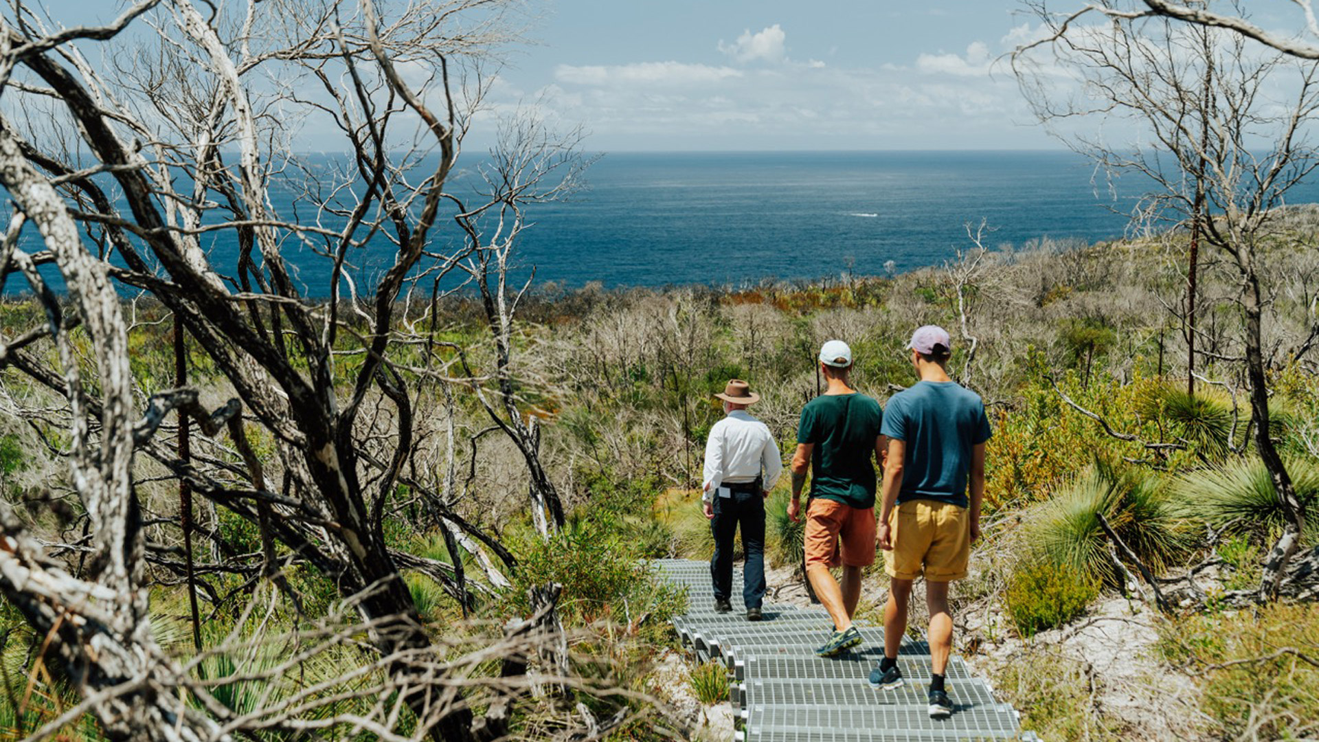Harbour Trust Ranger leading a couple down a bush track at North Head Sanctuary in Manly.